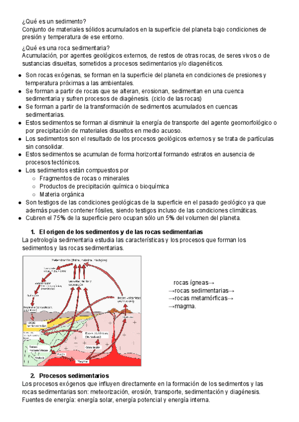 Miniatura del documento Sedimentacion-y-rocas-sedimentarias.pdf