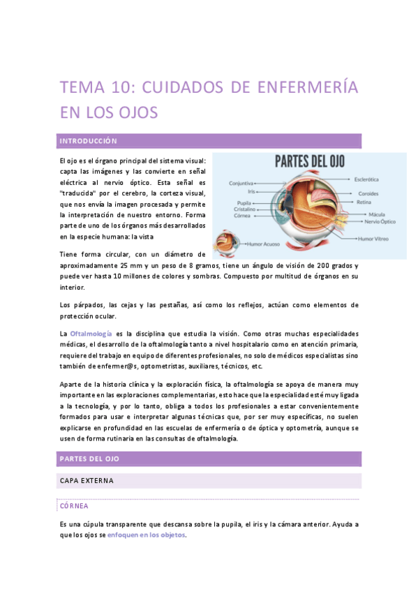 Miniatura del documento TEMA-10.pdf