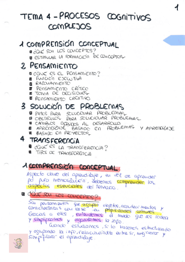 Miniatura del documento Psicologia-de-la-Educacion-tema-4-Procesos-cognitivos-complejos.pdf