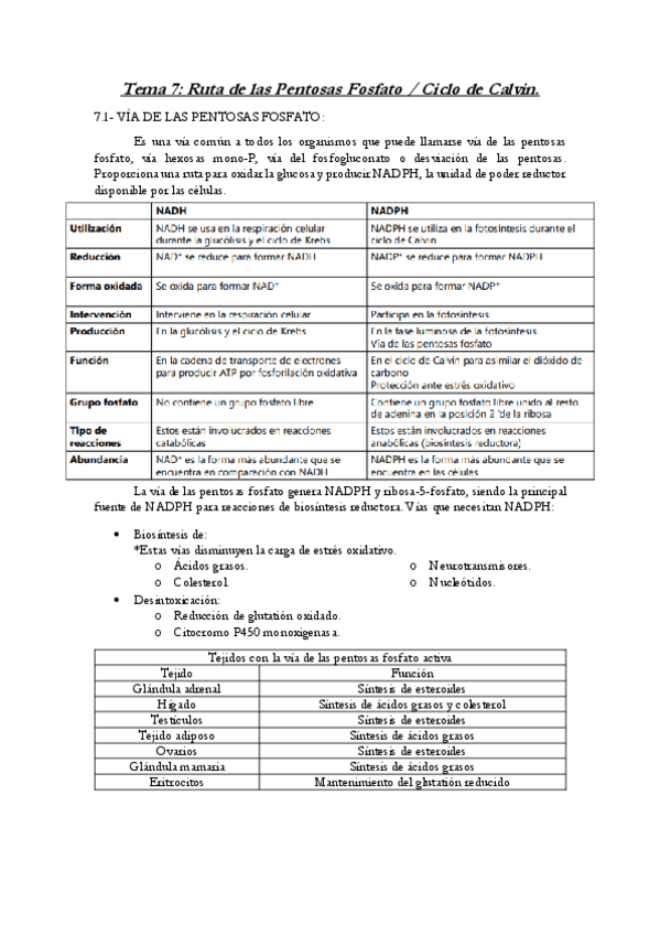 Miniatura del documento Tema-7-ByM.pdf