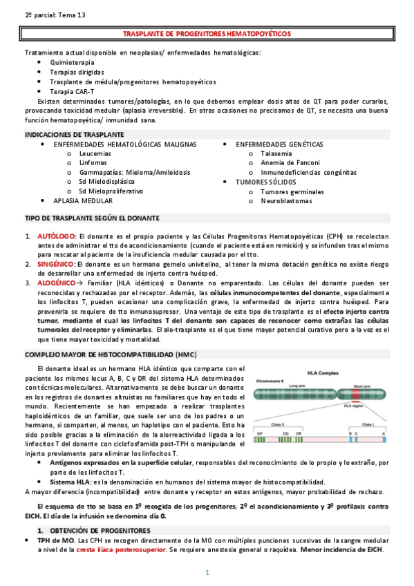 Miniatura del documento TRASPLANTE-DE-PROGENITORES-HEMATOPOYETICOS.pdf