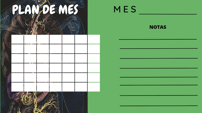 Miniatura del documento PLAN-DE-MES.pdf