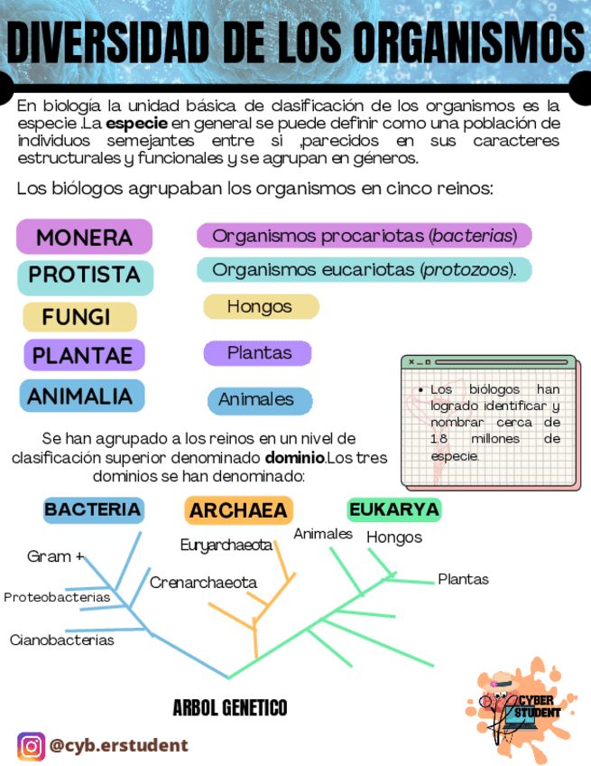 Miniatura del documento DIVERSIDAD-DE-LOS-ORGANISMOS.pdf