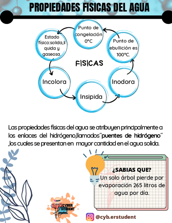 Miniatura del documento PROPIEDADES-FISICAS-DEL-AGUA.pdf