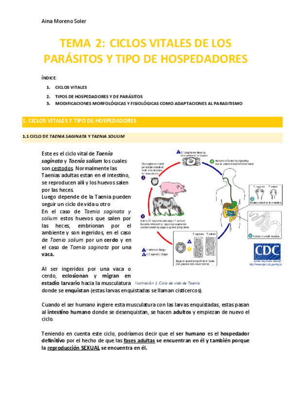 Miniatura del documento TEMA-2.pdf