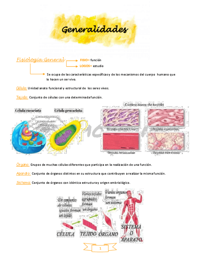 Miniatura del documento Generalidades-hemodicina.pdf