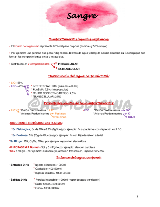 Miniatura del documento Sangre-hemodicina.pdf