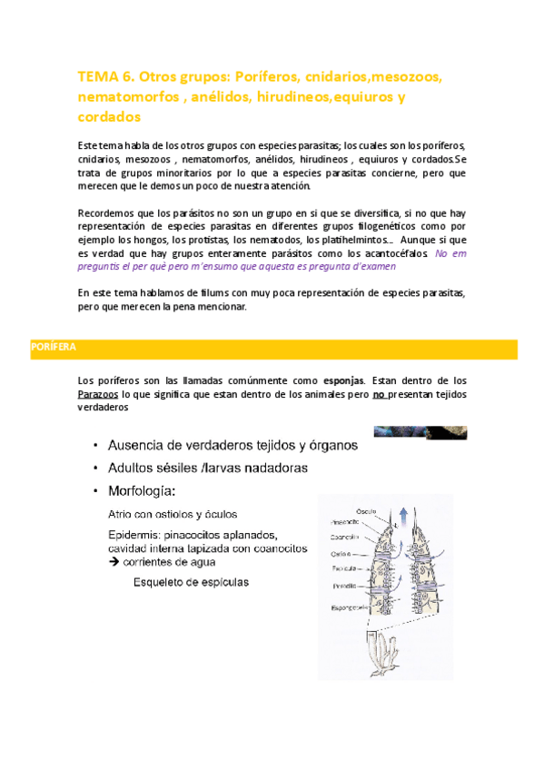 Miniatura del documento TEMA-6.pdf
