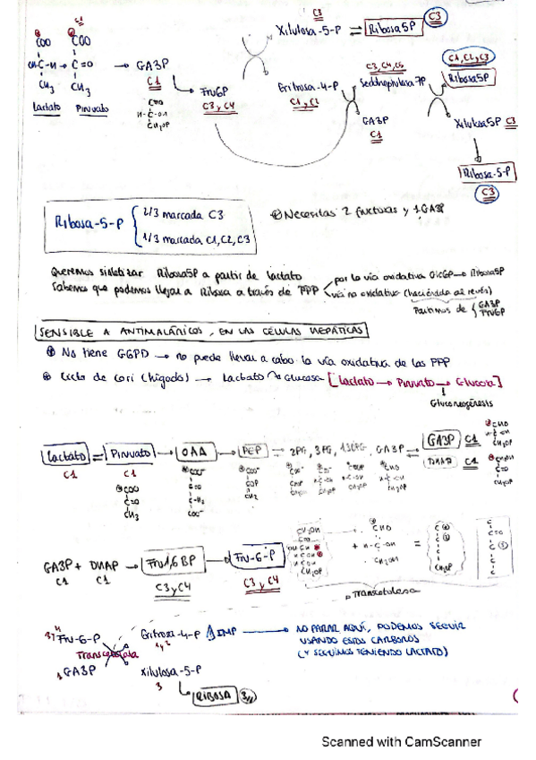 Miniatura del documento Ejsmetabo-completo.pdf
