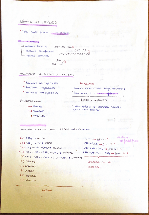 Miniatura del documento Quimica-del-carbono.pdf