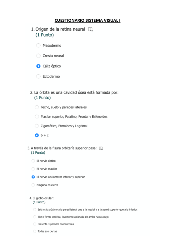 Miniatura del documento CUESTIONARIO-SISTEMA-VISUAL-I.pdf
