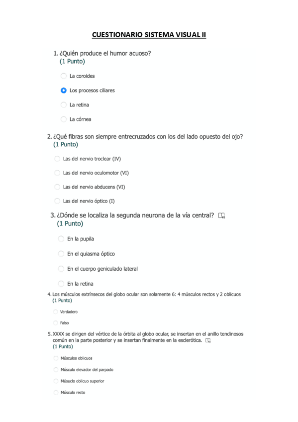 Miniatura del documento CUESTIONARIO-SISTEMA-VISUAL-II.pdf