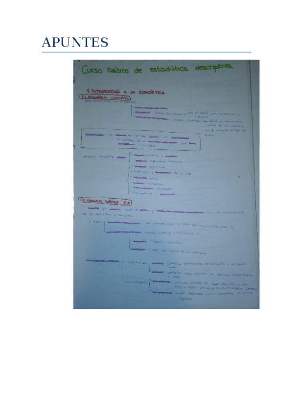 Miniatura del documento APUNTES estadística descriptiva.docx