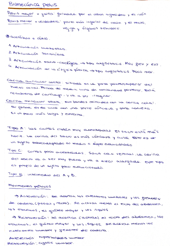 Miniatura del documento Biomecanica-pelvis-y-cadera.pdf