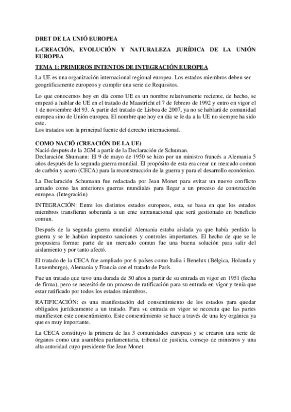 Miniatura del documento APUNTS-DRET-DE-LA-UNIO-EUROPEA.pdf