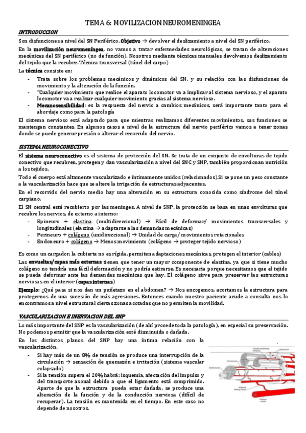 Miniatura del documento tema-6.-movilizacion-neuromeningea.pdf