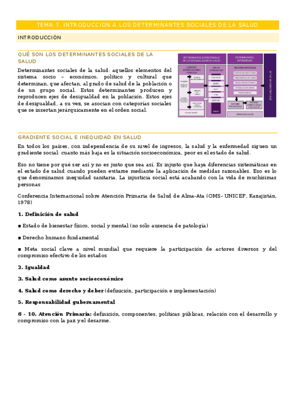 Miniatura del documento TEMA-7.docx