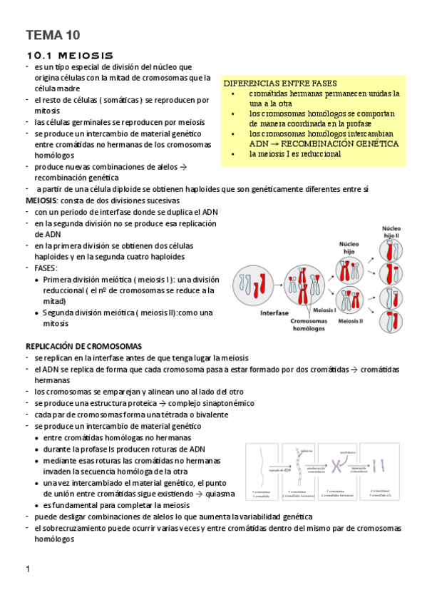 Miniatura del documento T.10-Genetica-y-evolucion.pdf