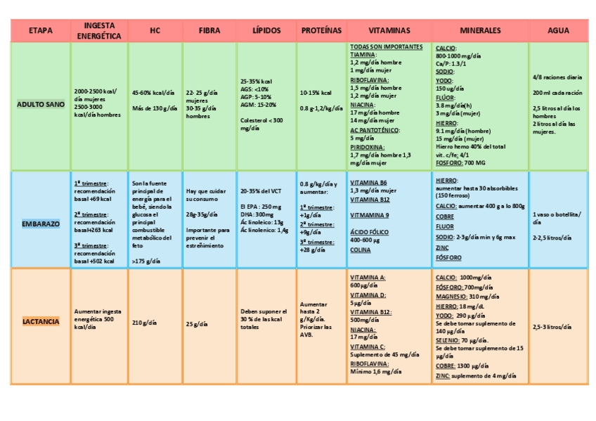 Miniatura del documento ETAPA.pdf