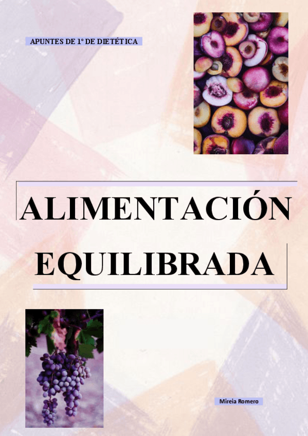 Miniatura del documento TEMA-1-completo.pdf