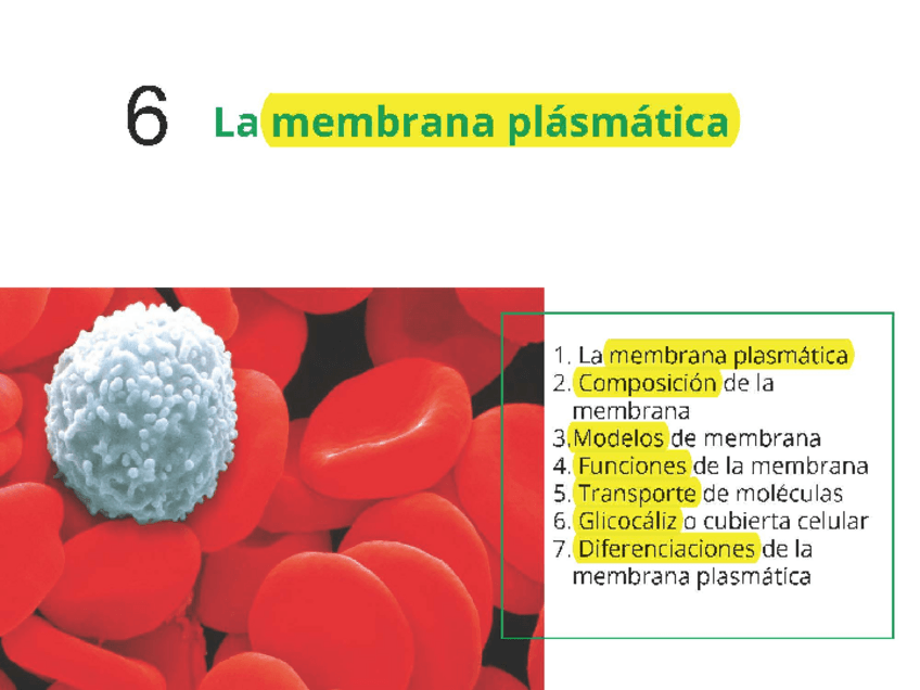 Miniatura del documento 6-Membrana-plasmatica.pdf