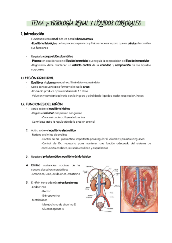 Miniatura del documento TEMA-7-FISIOLOGIA-RENAL-Y-LIQUIDOS-CORPORALES.pdf