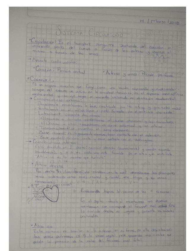 Miniatura del documento APARATO-CIRCULATORIO.pdf