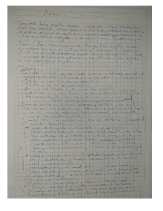 Miniatura del documento APARATO-DIGESTIVO.pdf