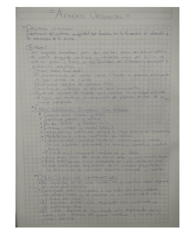 Miniatura del documento APARATO-UROGENITAL.pdf