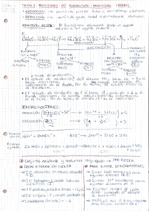 Miniatura del documento Quimica-tema-7.pdf