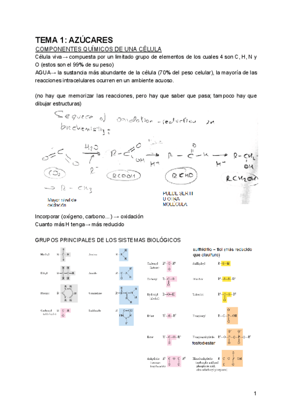 Miniatura del documento Fundamentos-bioquimica-tema-1.pdf
