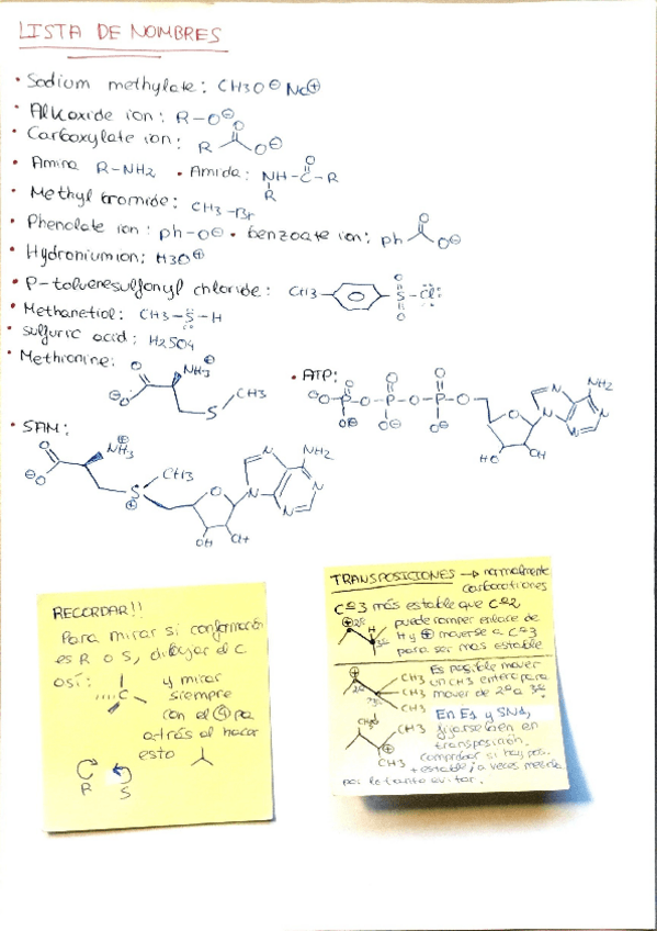 Miniatura del documento Quimica-organica-ayuda-para-temas-2-y-3.pdf
