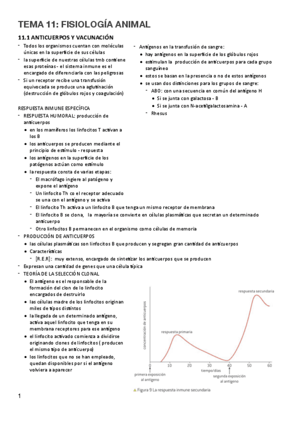 Miniatura del documento T.11-Fisiologia-animal.pdf