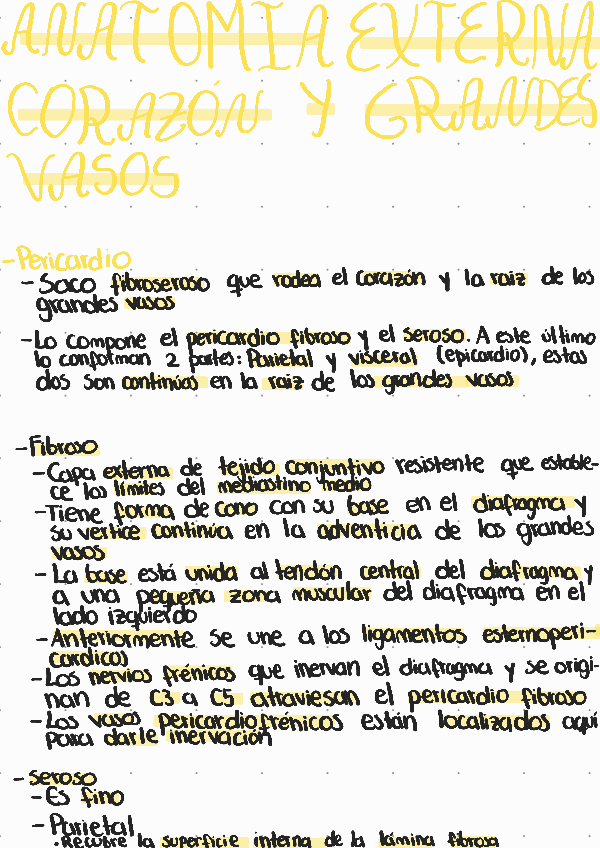 Miniatura del documento Anatomia-externa-corazon-y-grandes-vasos.pdf