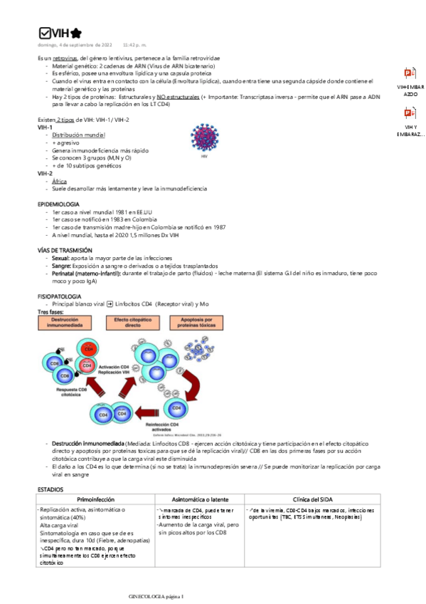 Miniatura del documento VIH.pdf