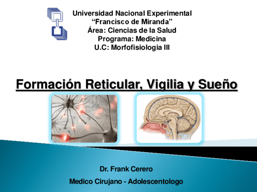 Miniatura del documento Formación reticular.pdf