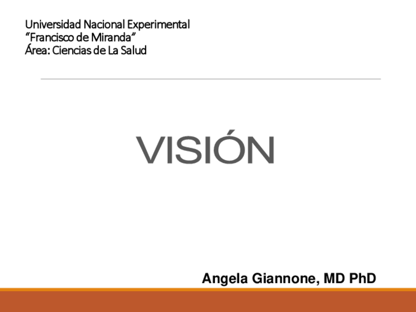 Miniatura del documento Visión.pdf