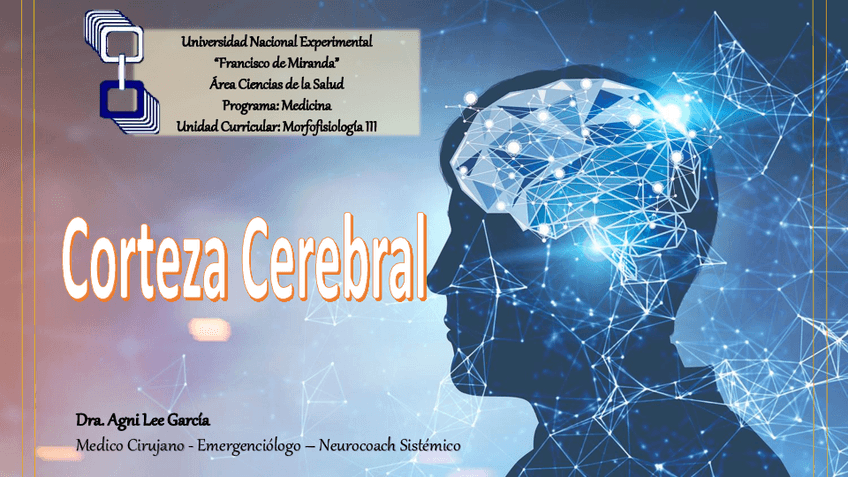 Miniatura del documento Corteza cerebral (Areas de Brodmann).pdf