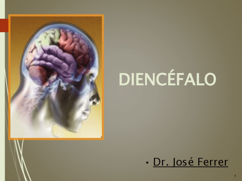 Miniatura del documento Diencéfalo.pdf