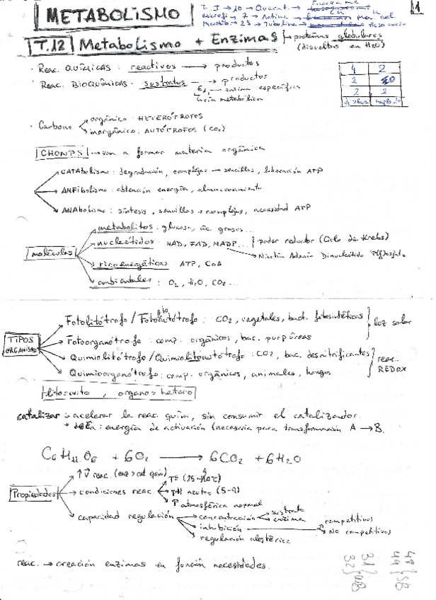 Miniatura del documento Metabolismo-esquemas.pdf