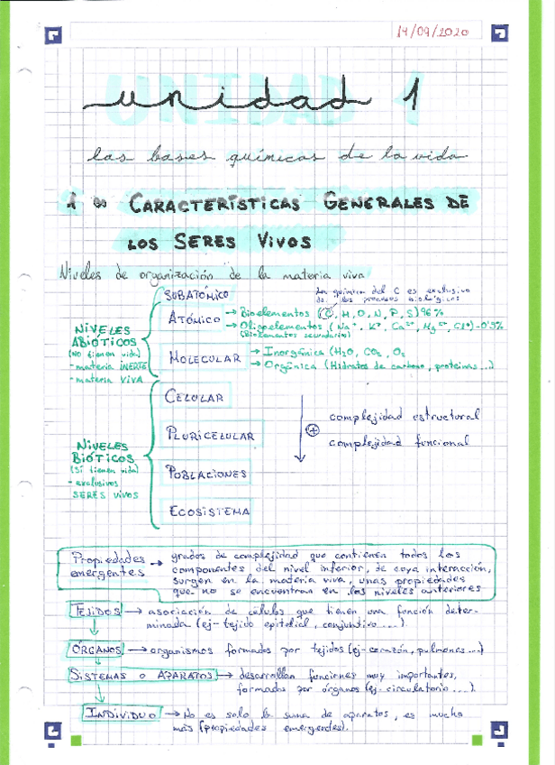 Miniatura del documento Biomoleculas-esquemas.pdf