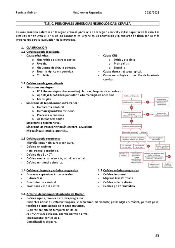 Miniatura del documento T15.3.Cefalea--Seminario.pdf