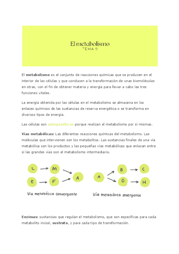 Miniatura del documento Bio-T9.-METABOLISMO.pdf