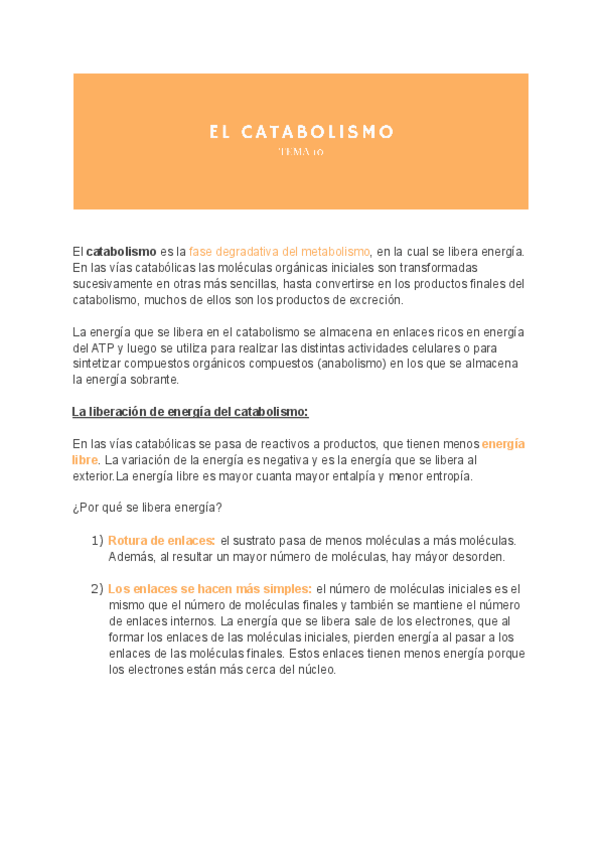 Miniatura del documento Bio-tema-10.-CATABOLISMO.pdf