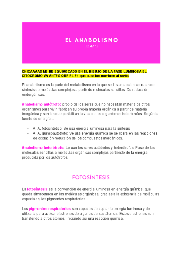 Miniatura del documento Bio-tema-11.-ANABOLISMO.pdf