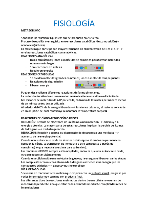 Miniatura del documento tema-6.pdf