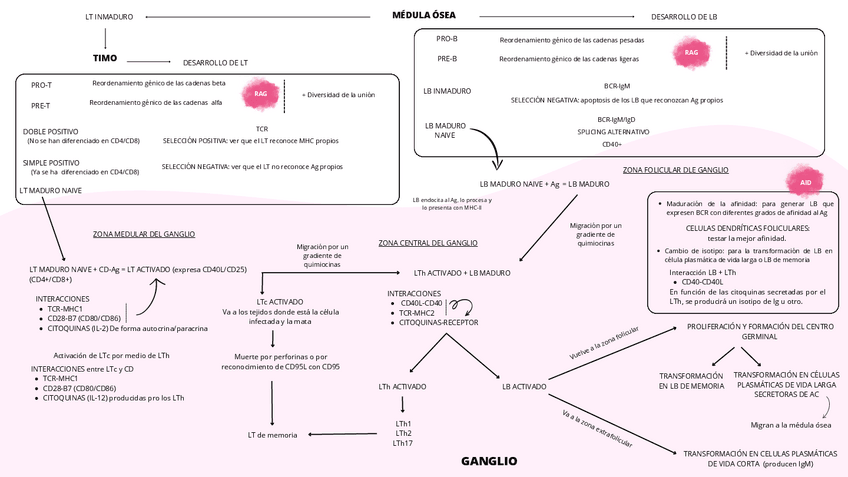Miniatura del documento LB-Y-LT-ESQUEMA.pdf