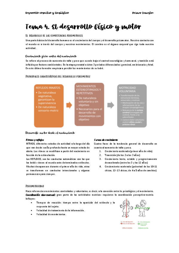 Miniatura del documento Desarrollo-cognitivo-tema-4.pdf