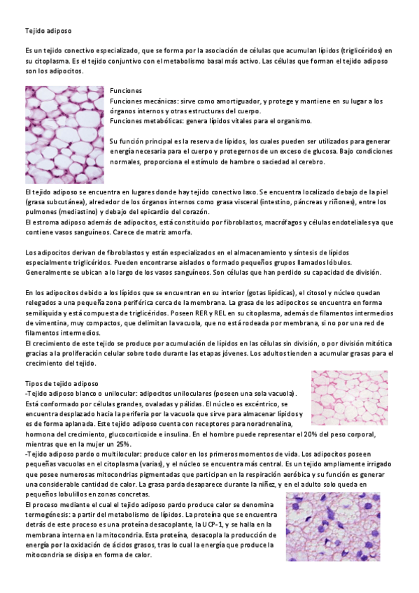 Miniatura del documento Seminarios.pdf