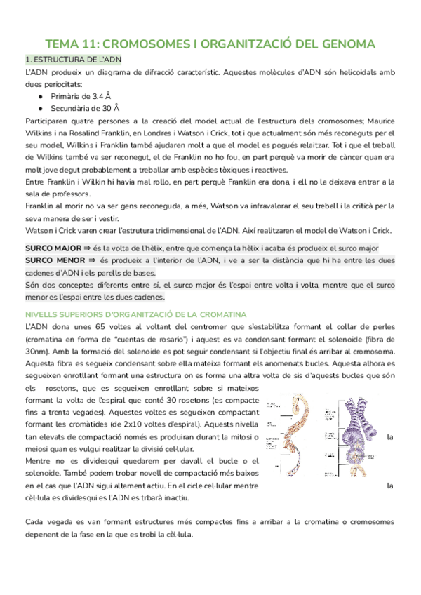 Miniatura del documento SEGUNDO-PARCIAL-BIOLOGIA.pdf